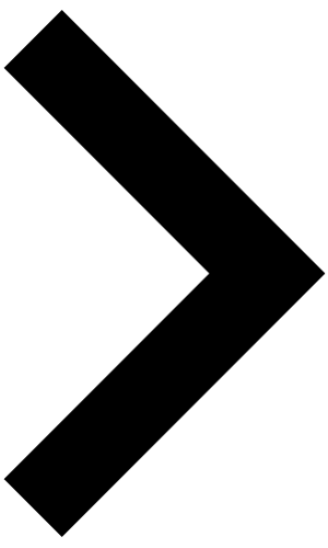 다음
